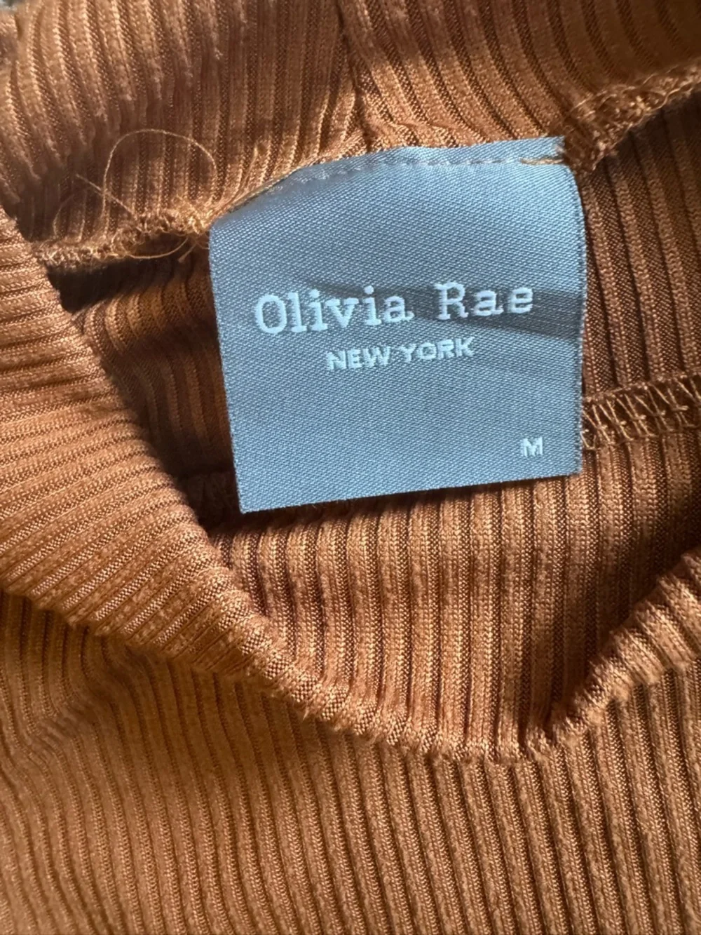 Olivia Rae Ribbed Mock Neck Top - Chestnut‎ (108)